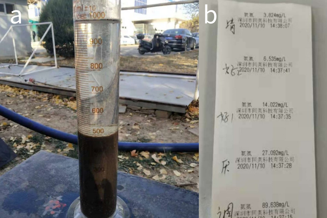 1605671250352396.jpeg 默認標題_自定義px_2020-11-18-0.jpeg