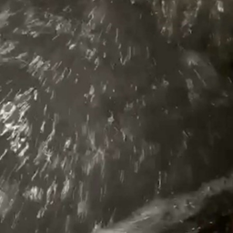 1606723181731310.png image.png