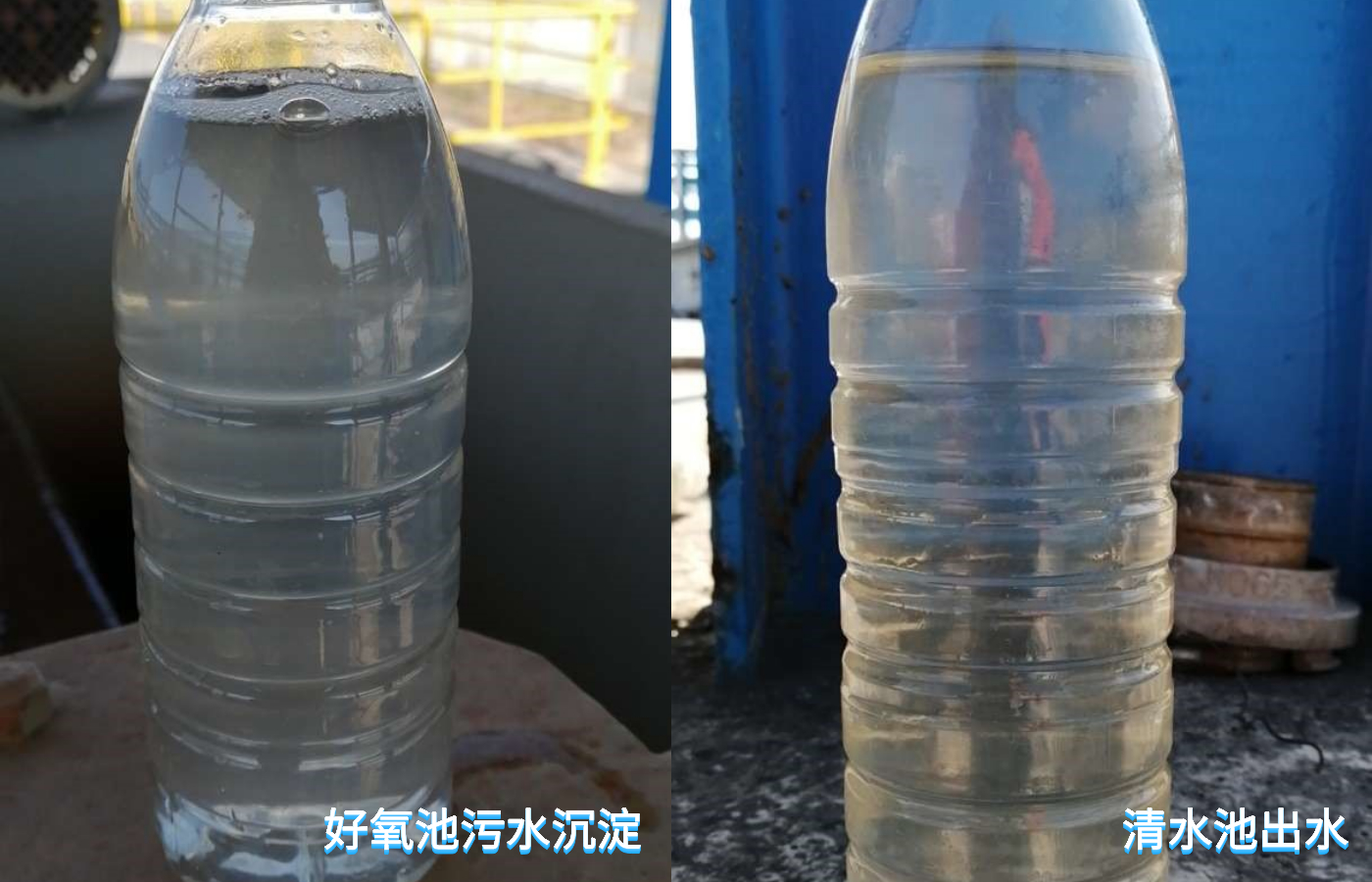 1607505803231069.jpeg 好氧池中的污水沉淀情況+清水池出水情況.jpeg
