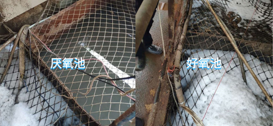 1609320192392346.png image.png